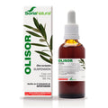 Olisor Olivo