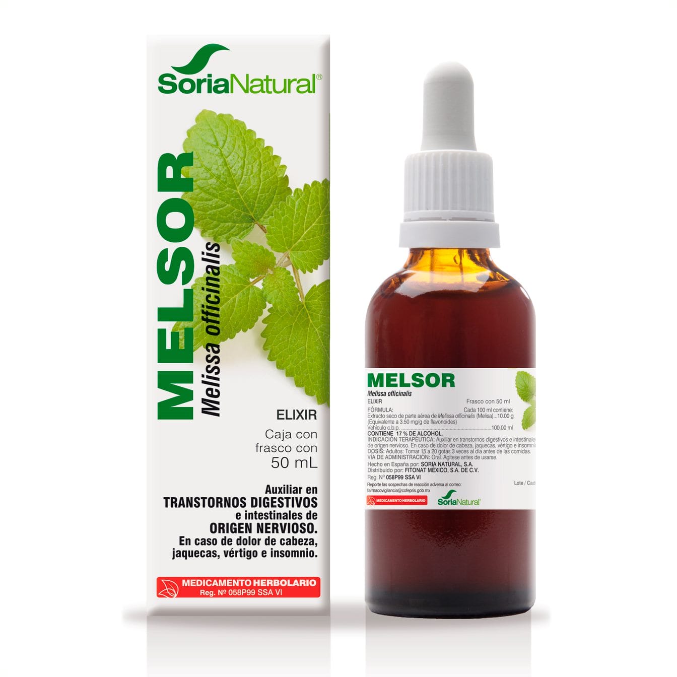 Melsor Melisa