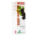 Ribe-Sor 23